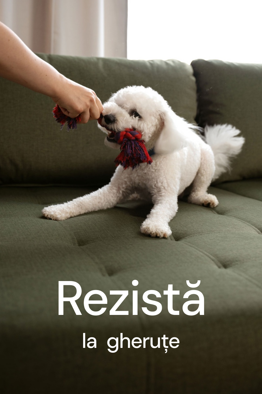 Rezistență certificată Pet Friendly.