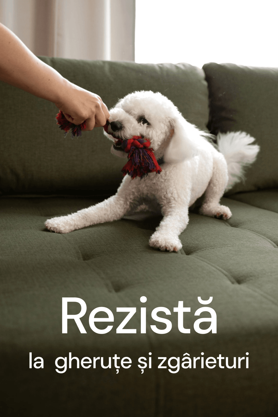 Rezistență certificată Pet Friendly.