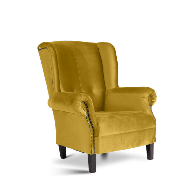 Fotoliu Eduard Agache